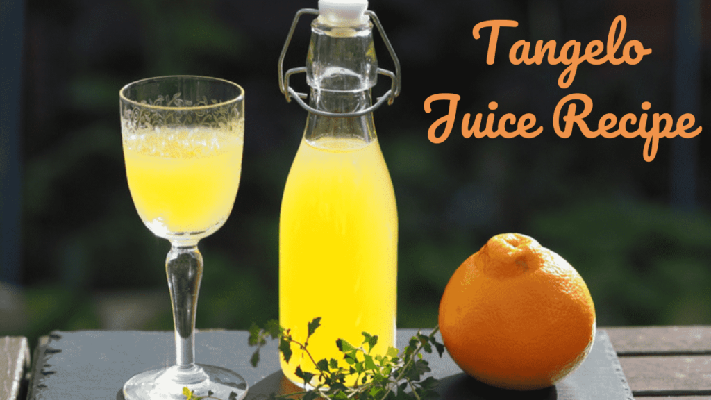 Tangelo Juice Recipe