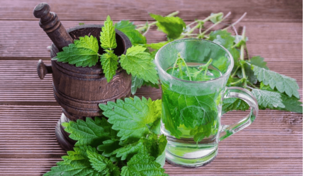 Nettle Juice Recipe