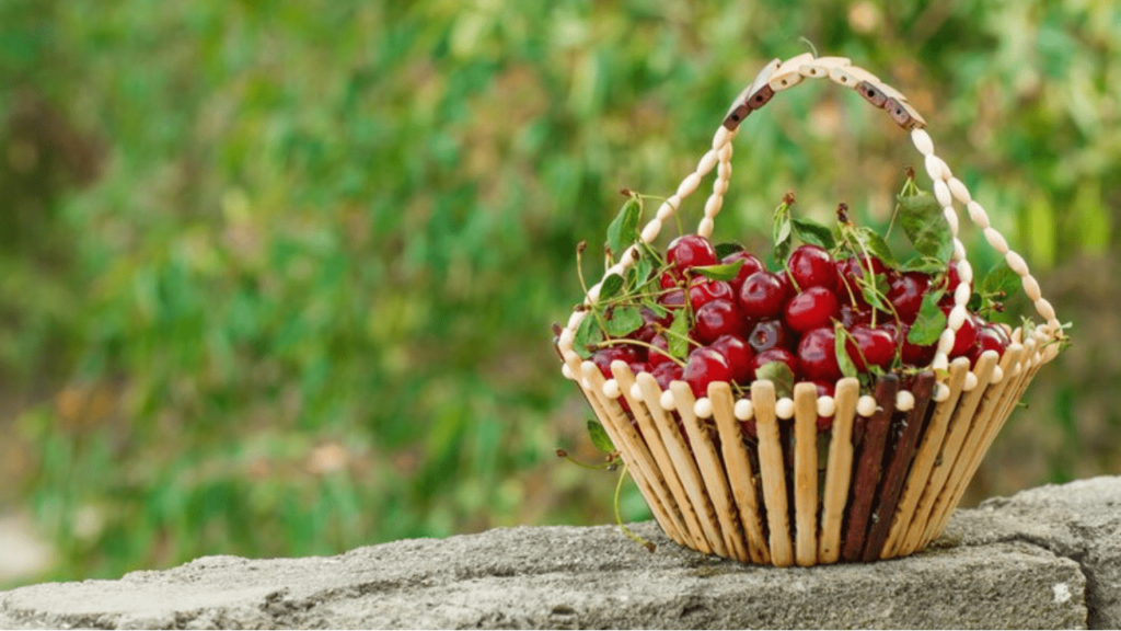 Cranberries 